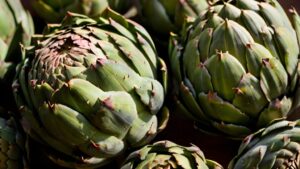 What are Roman artichokes